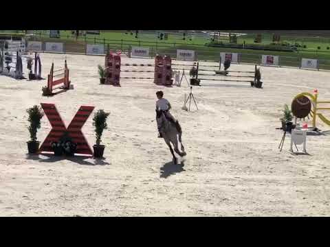 Understood Z (Untouchable 27 x Kannan) Born in 2011