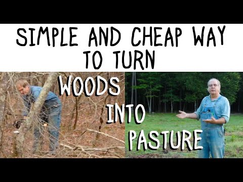 Turn Woods into Pasture Simply and Inexpensively