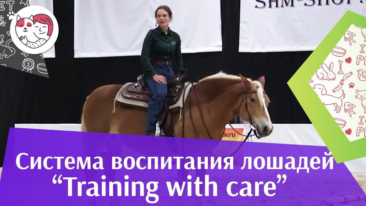 Шоу презентация системы воспитания Training with care Ч 2 Дарья Бойцова ЭКВИРОС 2016 iLikePet