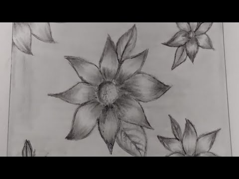 how to sketch cute flowers with charcoal. pencil@ArtxHuriya