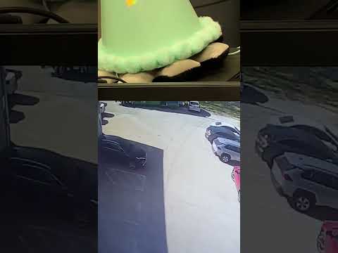Sparkletts - Hit and run - Image 2