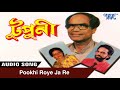 Download Pokhi Roya Ja Re Tupuni Rameshwar Pathak Kamrupi Lokgeet New Assamese Song Mp3 Song
