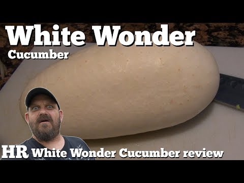 , title : '⟹ WHITE WONDER Cucumber | Cucumis sativus | Cucumber Review'