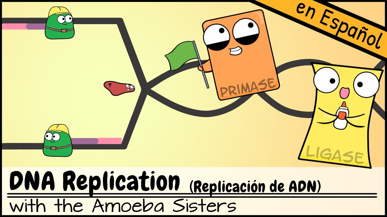 Replicación de ADN
