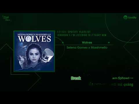 [Vietsub+Kara] 171121 Spotify Playlist by JK | Wolves (Selena Gomez, vMarshmello)