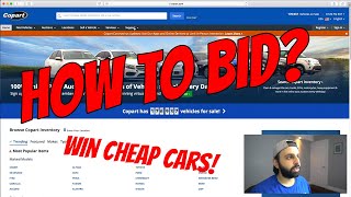 How to Bid on Cars at Copart! + What Broker I Use