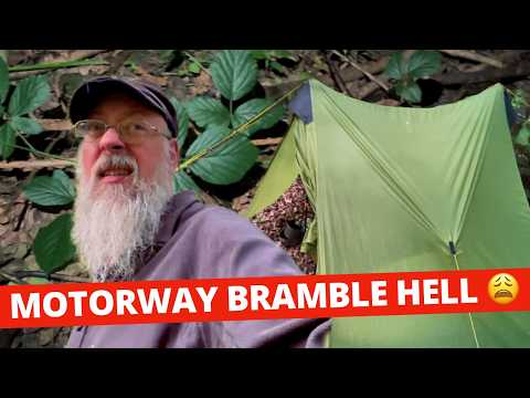 North Downs Way 4: Brambles, Motorways & A Kilt