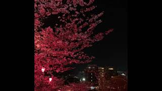 Avicii - the days remix slowed