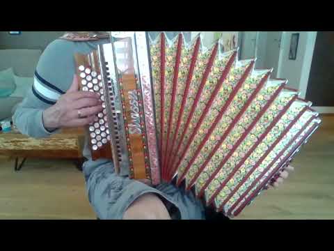 A wengal geht´s no - Steirische Harmonika #eigenkomposition #volksmusik #ziach #frühling