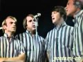 the Beach Boys Their hearts where full of spring