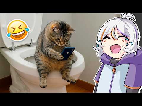 IF YOU LAUGH 5 TIMES YOU LOSE KITTENS AND PUPPIES LEVEL 🤣😂