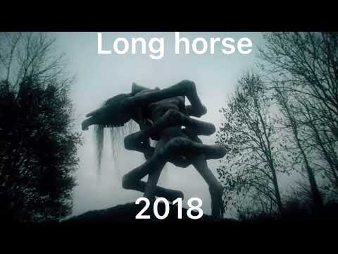 Evolution of long horse