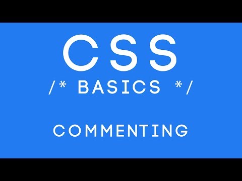 CSS Basics Tutorial 31 Commenting
