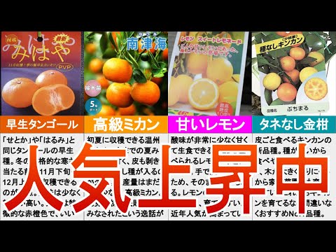 寒さに強い柑橘類をご存知ですか?知っておきたい丈夫な木ベスト3! 庭園
