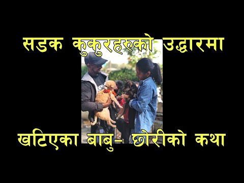 सडक कुकुरहरुको उद्धारमा खटिएका बाबु - छोरीको कथा/  Father- Daughter duo rescuing Street Dogs