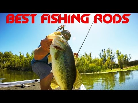 Top 5 Rods Every Angler Needs