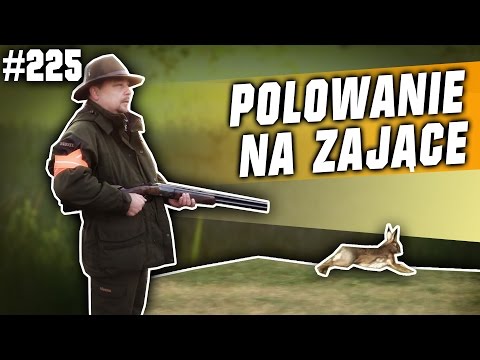 Darz Bór odc 225 - Polowanie na zające