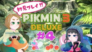 【2人協力】3人体制で新エリア！#4【ピクミン3デラックス】