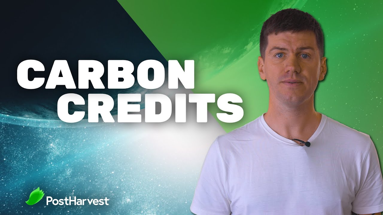 Quick Intro: Carbon Credits