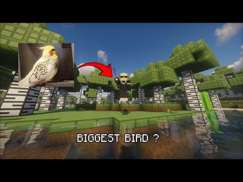 What if Theobaldthebird Tier Tested ?