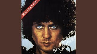 Painless Persuasion V. The Meathawk Immaculate (Bonus Acoustic Demo)