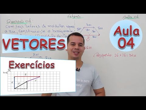 Vectors - Class 04 (Exercises)