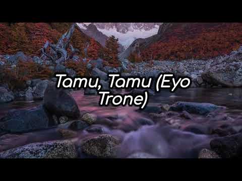 Macvoice Ft Rayvanny - Tamu (Lyrics Video)