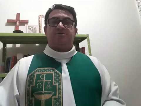 "O Reino dos Céus está próximo". Reflexão do Evangelho (08/07) -  Pe. Marcos José