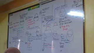 7) Dr. wael salah displacement of lens (general)