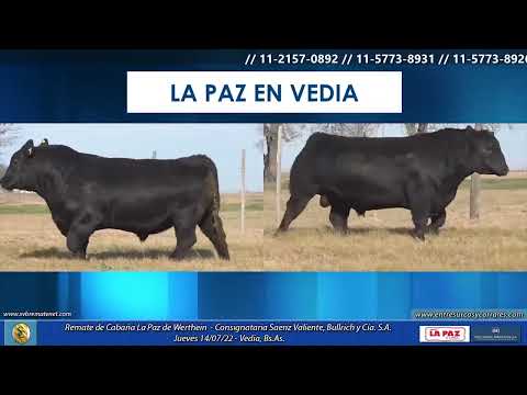 14-07-22 - Remate de Cabaña La Paz de Werthein - Consignataria Saenz Valiente, Bullrich y Cía. S.A.