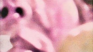 Joni Mitchell - The Silky Veils Of Ardor