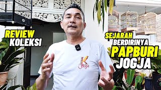 Download lagu PAPBURI‼️The history of the establishment of the FIRST KENARI ASSOCIATION in JOGJA... mp3 Download lagu PAPBURI‼️The history of the establishment of the FIRST KENARI ASSOCIATION in JOGJA... mp3