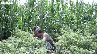 Download lagu CERITA Agos Episode/14 mp3