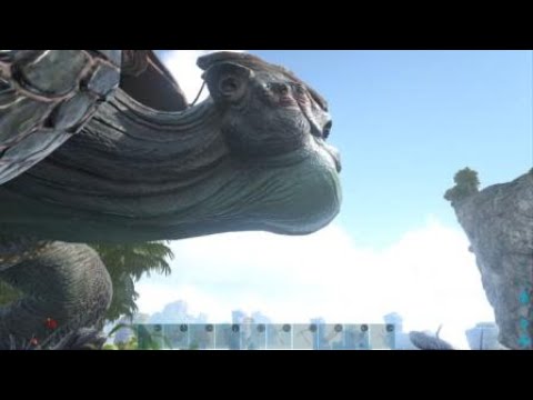 ARK Giant Turtle Level Up Animation
