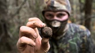 Unearthed | The truffle men of Oregon introduce viewers to truffles more valuable than gold