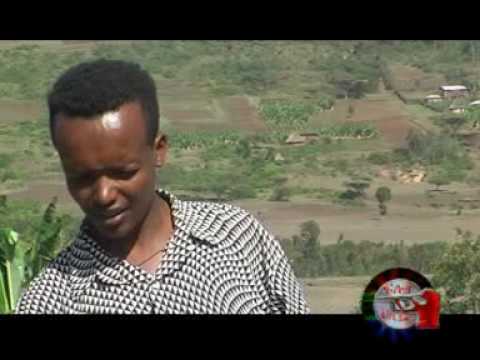 Guragigna music Aregahegn Fekadu "Emeetidee"