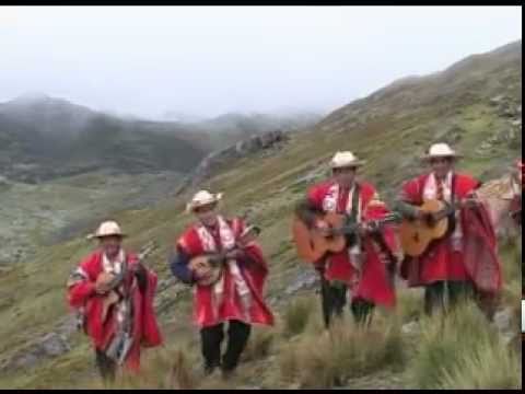 Conjunto Aficion Sangre Grauina Vol.1 -Thonccayo Ccasa