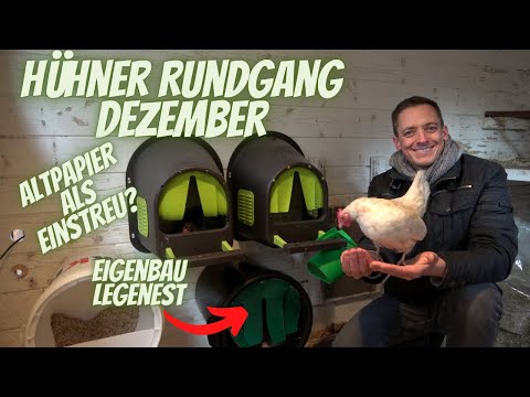 Hühner Rundgang Dezember 2021 - Legenest 2.0 , Altpapier als Einstreu, Stall und Auslauf