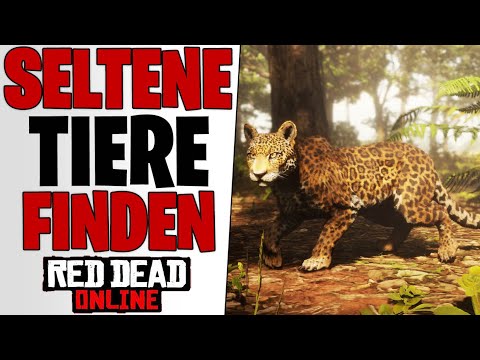 SELTENE LEGENDÄRE TIERE FINDEN - Naturkundler Rollen Free Roam Events | Red Dead Redemption 2 Online