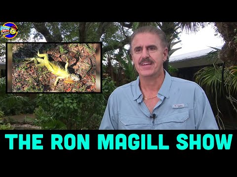 The Ron Magill Show | Tuesday, February 1st | The Dan LeBatard Show with Stugotz