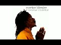Everton Blender ~ Bingi Man A Come