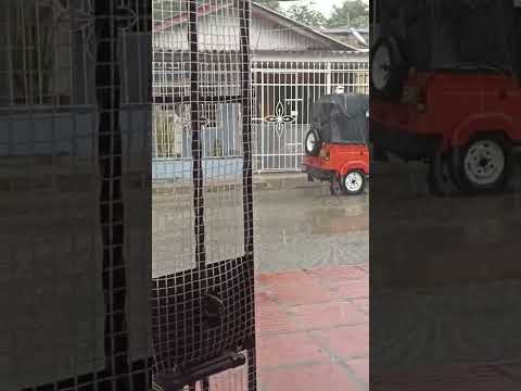 Lluvia en Soledad 🌧️ #barranquilla #colombia #contenidolocal