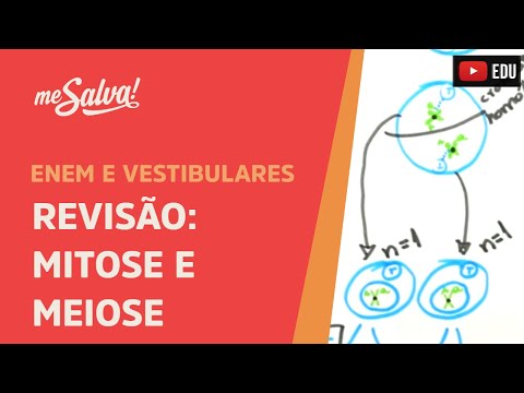 Me Salva! CIT30 - Citologia - Revisão: Mitose e Meiose