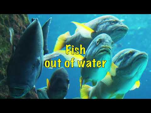 Tears for Fears - Fish Out of Water (with Lyrics)