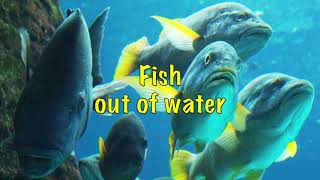 Tears for Fears - Fish Out of Water (with Lyrics)