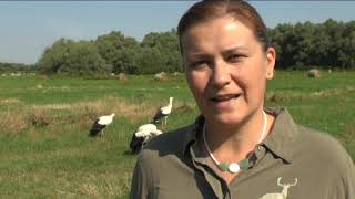 TERMÉSZETVÉDELMI KÖRKÉP 