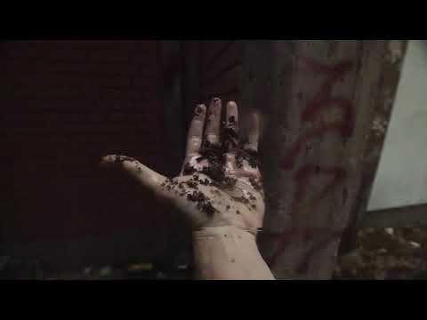 las-líneas-de-mi-mano