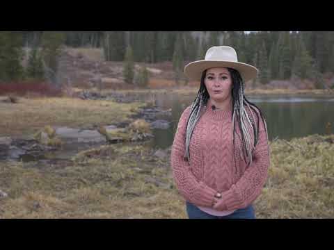 American Molossus Breed information on functionality & health