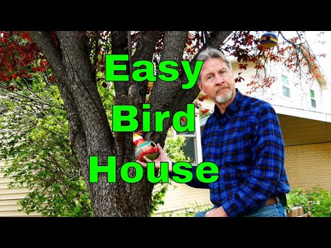 image-How do you dry out a gourd to make a birdhouse?