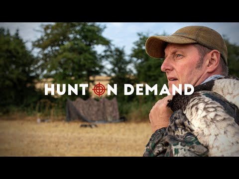 Cervus-Uk! Ein neuer Publisher auf Hunt on Demand!